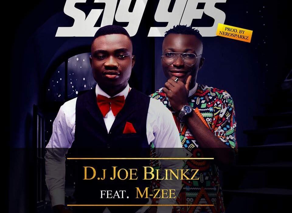 DJ Joe blinkz ft Prince Mzee SAY YES mp3 image