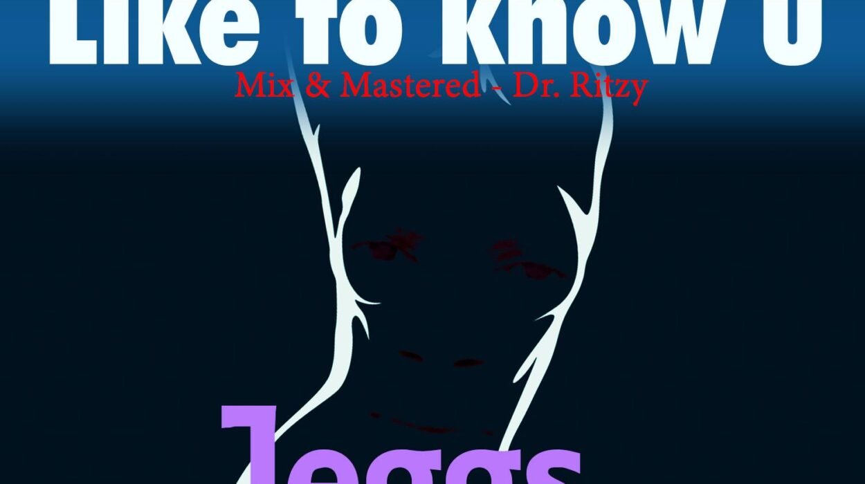 Jeggs LIKE TO KNOW U