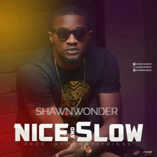 Music: Shawn Wonder – Nice and Slow 22 3294022 1