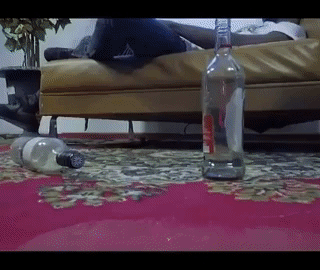 TBen Lazy Song Ft. Dino Melaye X Caka Neon 1