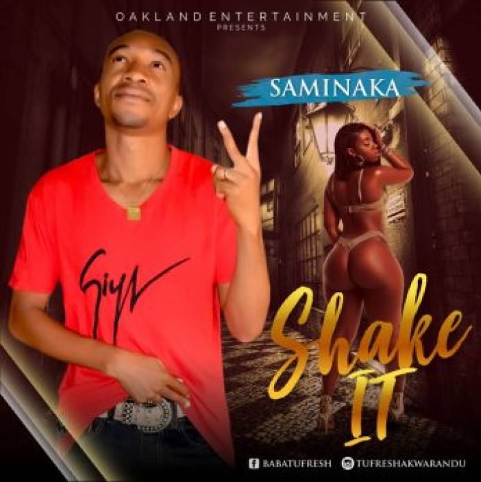 saminaka shake it art