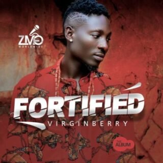 Music: Virginberry – “Fortified” Album 20 v1