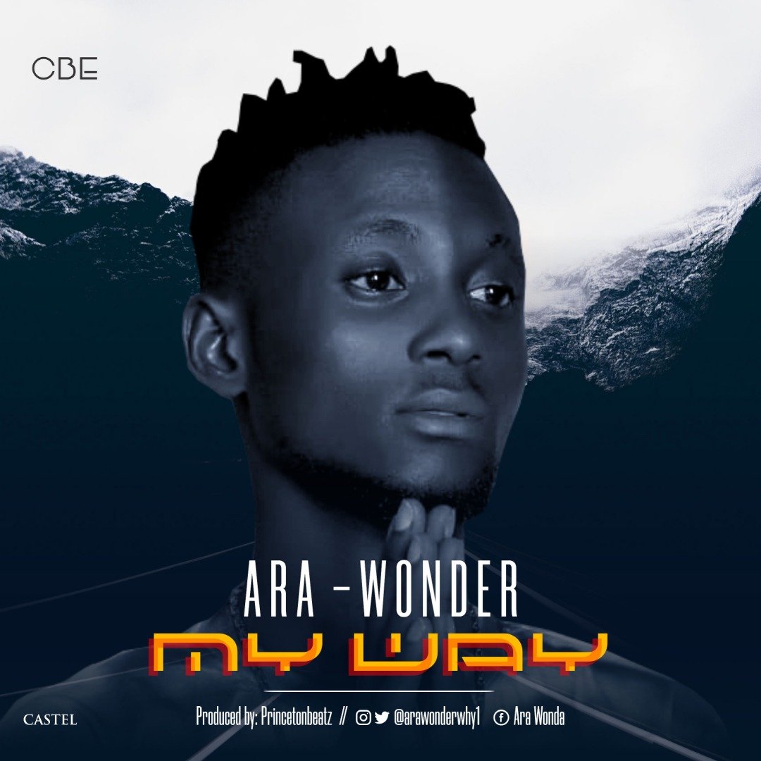 Ara Wonda My Way ART