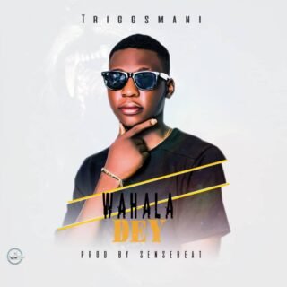 Music: Triggsmani - Wahala Dey (Prod.SenseBeat) 41 IMG 20190116 WA0007
