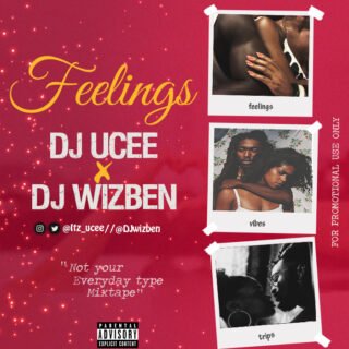 Mixtape: DJ Ucee x DJ Wizben – Feelings Vol2 24 Feelings Cover1