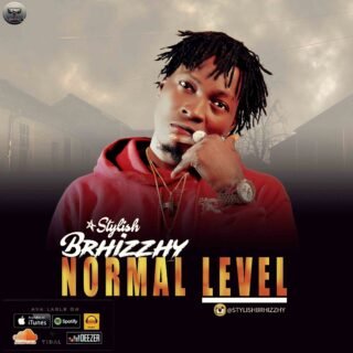 Music: Stylish Brhizzhy ( @StylishBrhizzhy ) - Normal Level 38 NORMAL LEVELMMGf