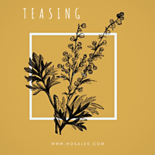 Music: Nosa Lee - Teasing |@NosaLeeOfficial 23 Teasing Nosa Lee