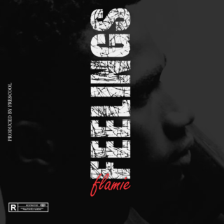 Music: Flamie - Feelings 21 feelings