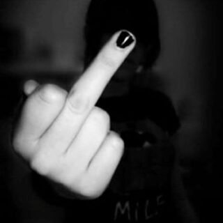 23032796 1541654929244508 645019302424064788 n