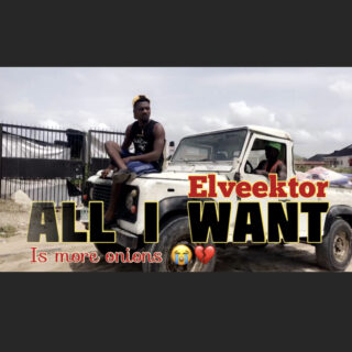 Elveektor - All I want (Davido & Russ refix) 27 IMG E3990