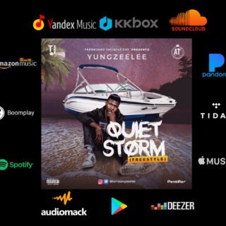 Yung Zeelee - Quiet Storm (Freestyle) | @Iamyungzeelee 21 Yung Zeelee Quiet Storm Freestyle Artwork