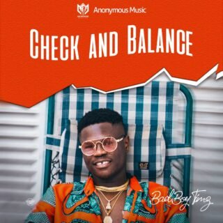 Audio + Video: TIMZ - Check And Balance 27 Timz Check And Balance Art