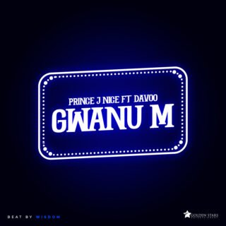 MUSIC: Prince J Nice Ft Davoo – Gwanu M | @PrinceJNice 22 unnamed 11