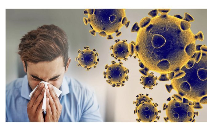 91377623 2772664836186687 3632423656644149248 n