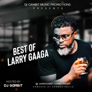 Larry Gaaga Front