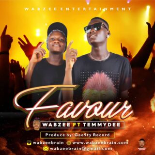 Music: Wabzee Brain Ft TemmyDee - Favour 23 Wabzee Art