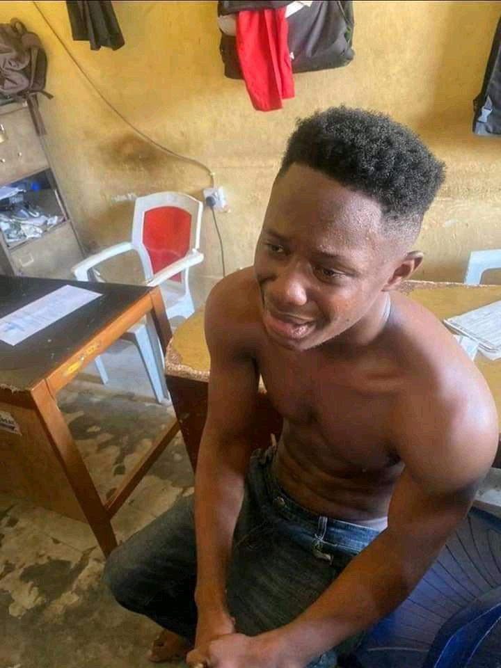 FB IMG 15867785572054571