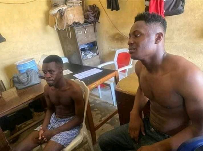 FB IMG 15867845014237246