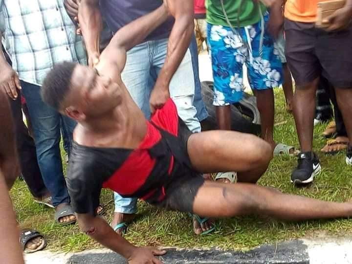 98116842 3097952953598924 4426549382959071232 n