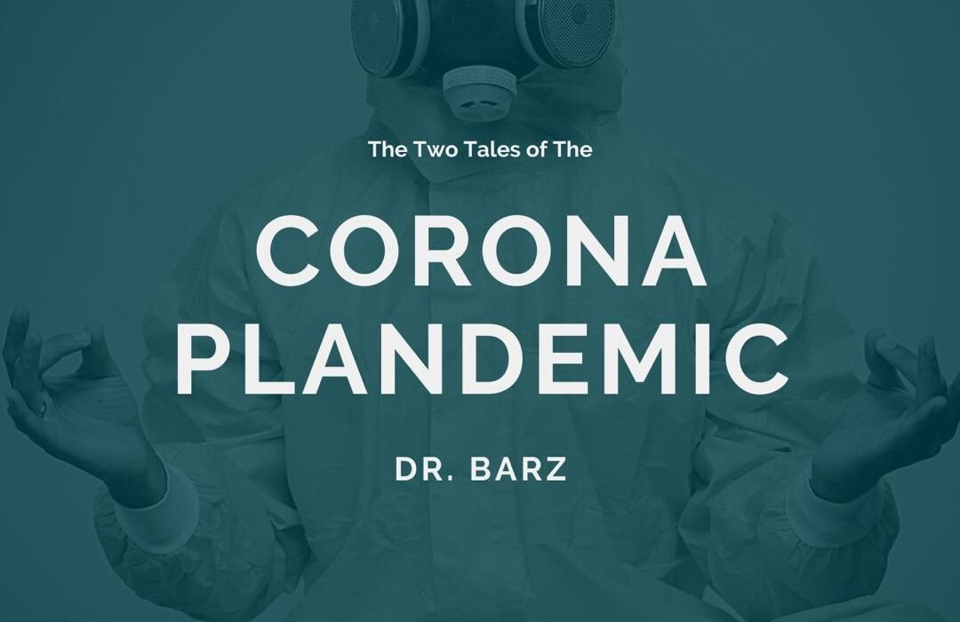 Corona Plandemic art cover 1