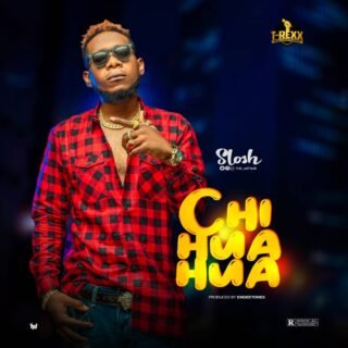 Music: Slosh - Chihuahua | @the_slosh 20 IMG 7366