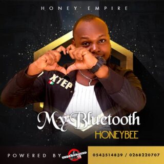 Music: Honey Bee – My Bluetooth 26 IMG 20200629 WA0059 1