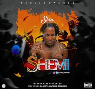 skin shemi