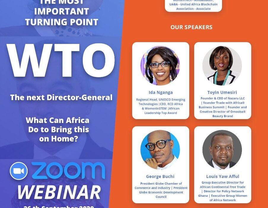 Pan African Network for Investment and Development