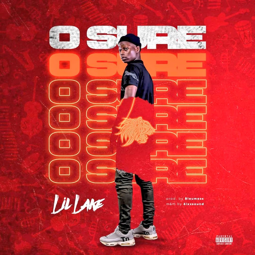 Lillake O Sure Artwork