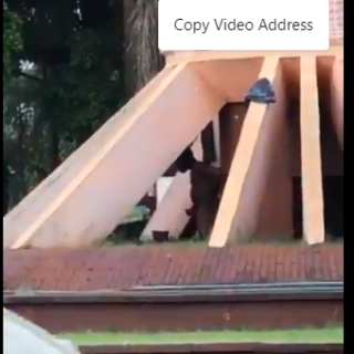 Video: Man Caught on Camera Mast*bating at Ibom Plaza 21 Screenshot 28