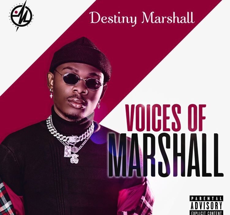 Destiny Marshall Voices Of Marshall art