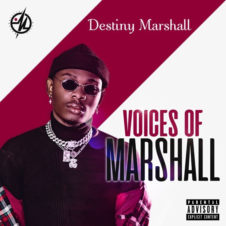 Destiny Marshall Voices Of Marshall art