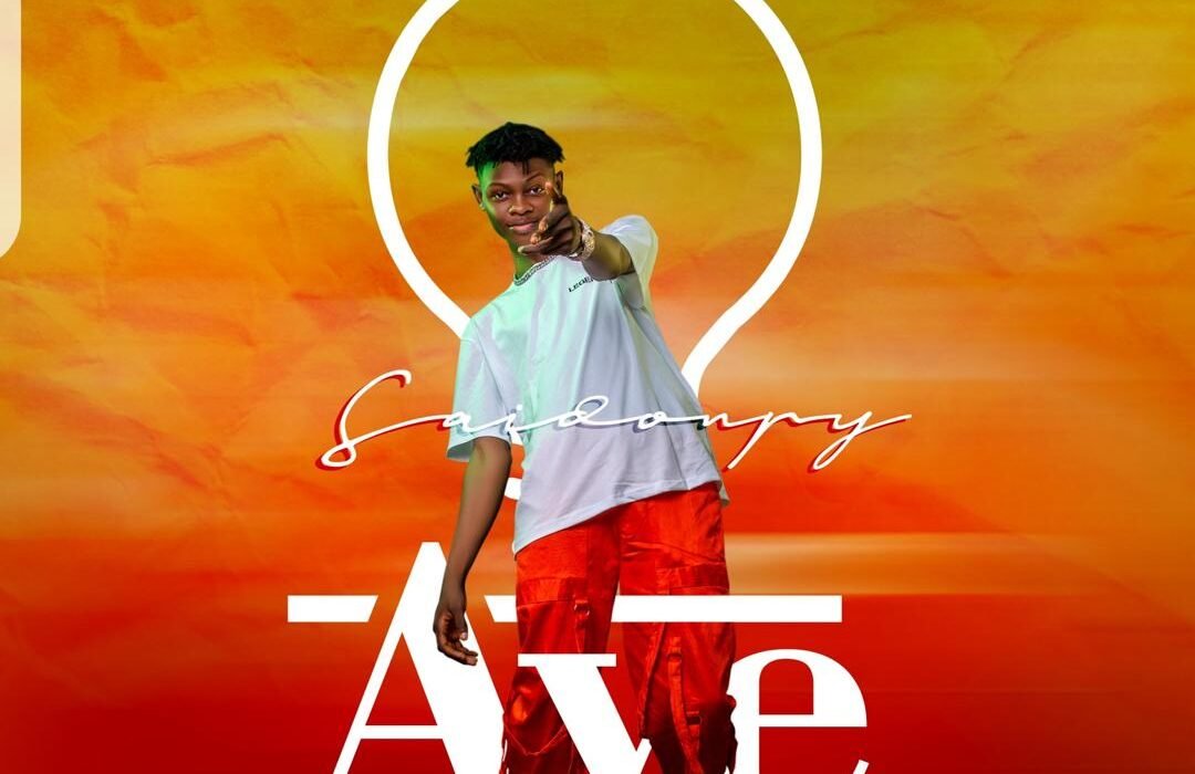 Saidonpy AYE Artwork