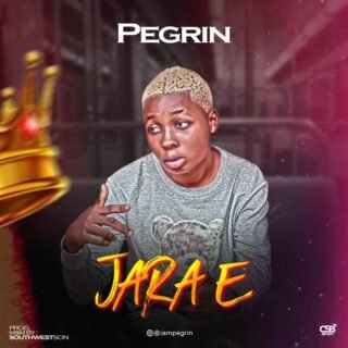Music: Pegrin – Jarae 28 IMG 20210410 WA0003