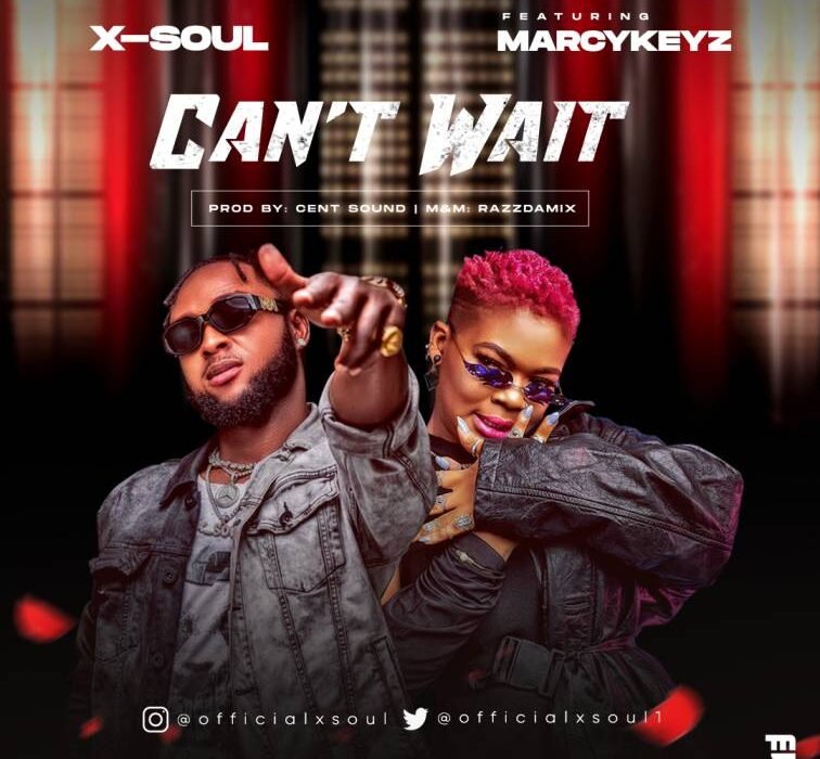 X soul Cant Wait art