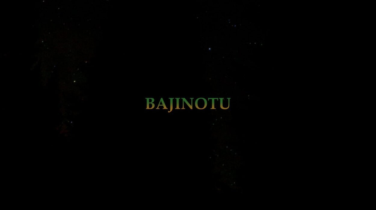 BAJINOTU 22