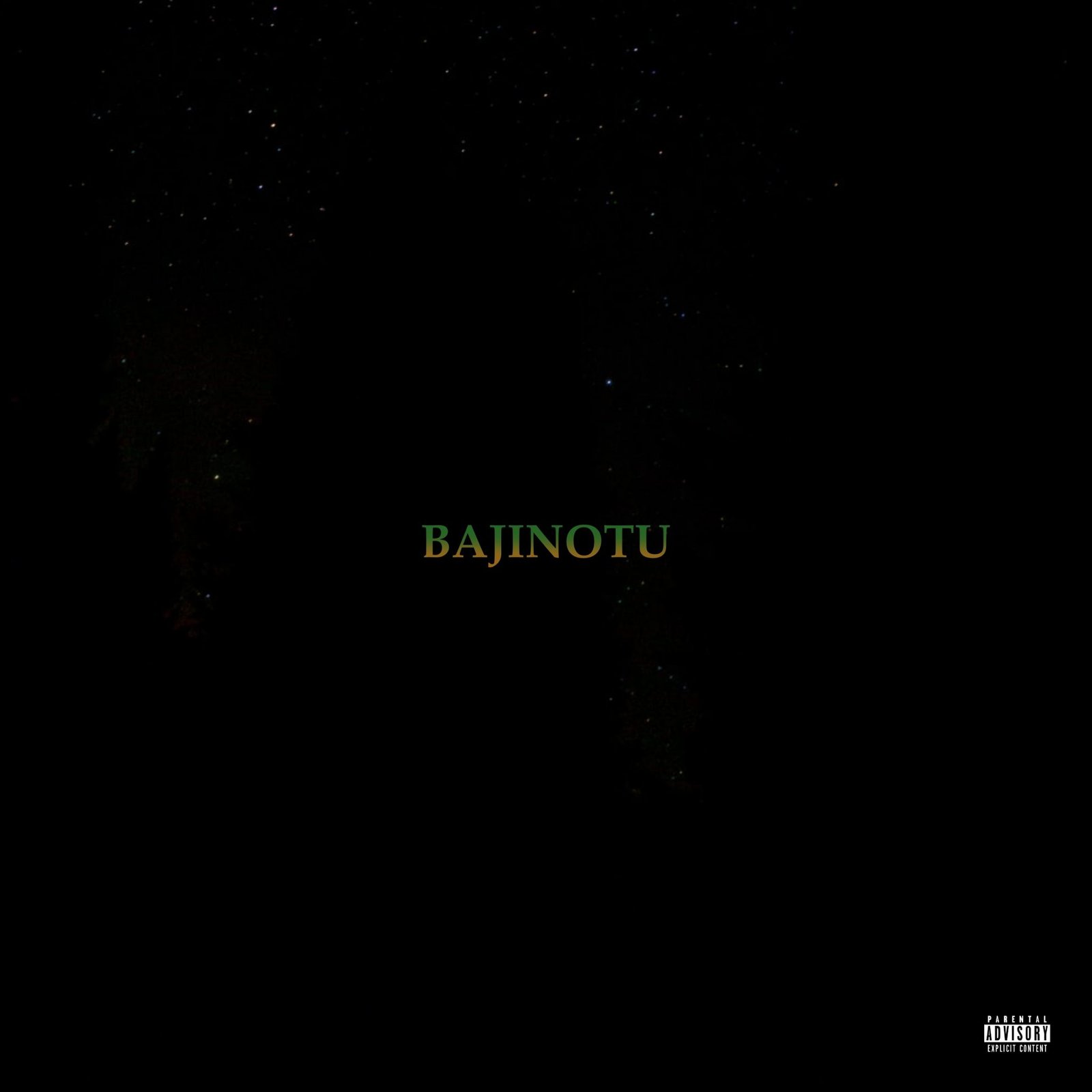 BAJINOTU 22