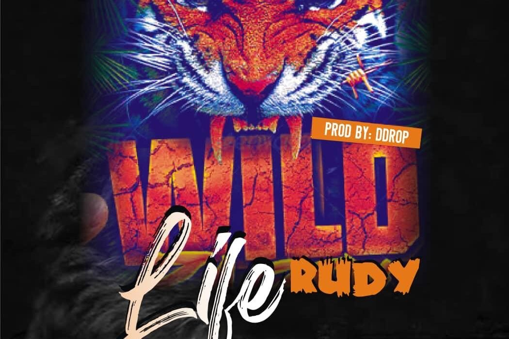 Rudy Wildlife Artwork