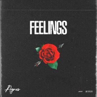 Agnes Feelings Artwork