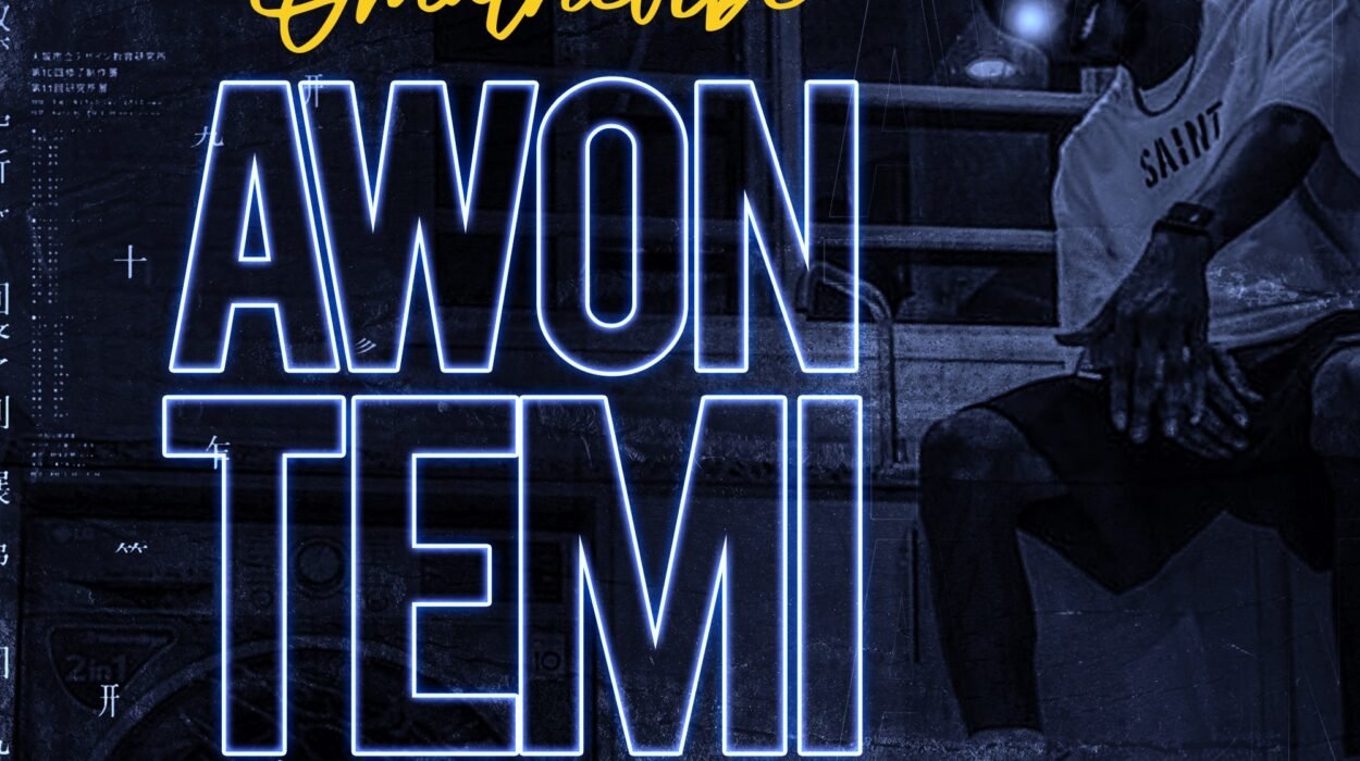 OMATheVibe Awon Temi Artwork