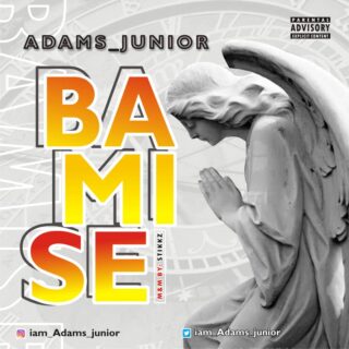 Adams Junior Bamise Artwork 1