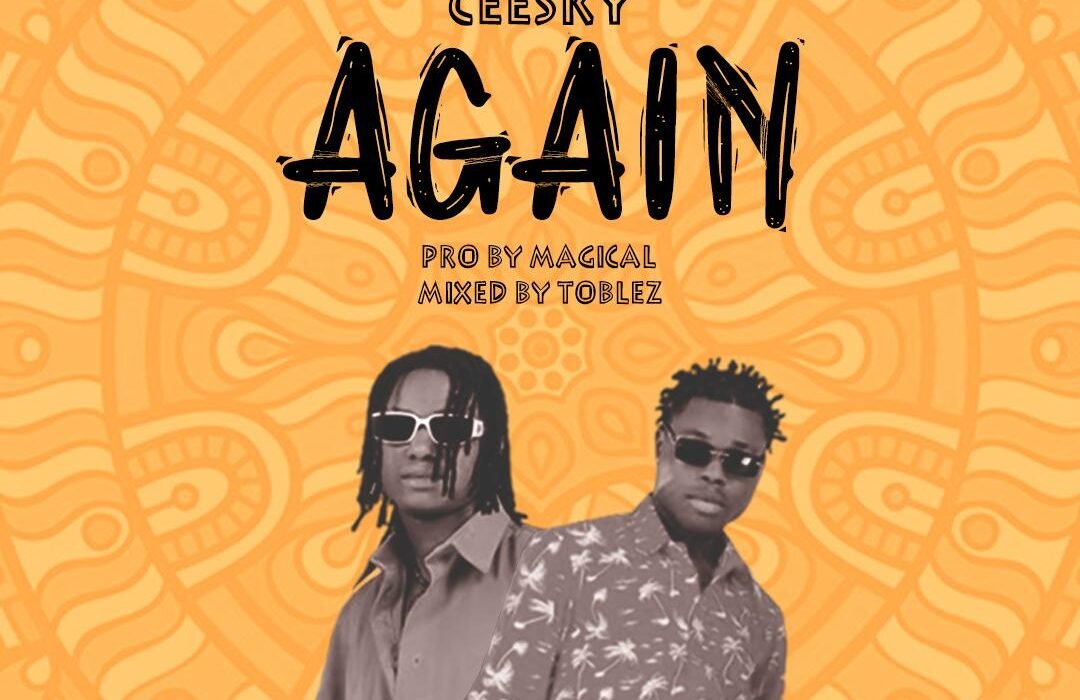 Ceesky Again Artwork