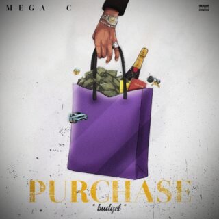 Purchase Artcover