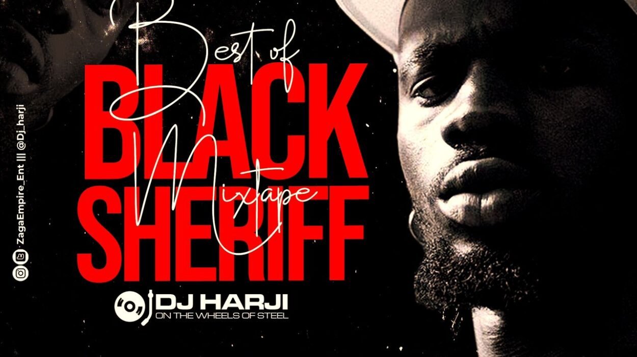 Best Of Black Sherif Artwork