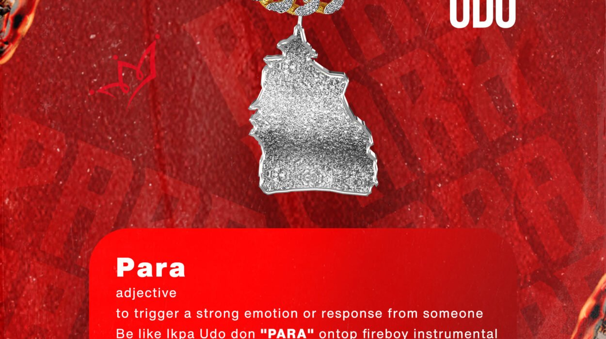 289648182 1732821103744916 860798843581623662 n