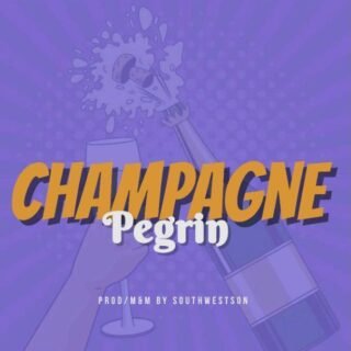 Music: Pegrin - Champagne 25 WhatsApp Image 2022 07 06 at 3.20.54 AM