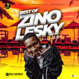 Best Of Zinoleesky Artwork