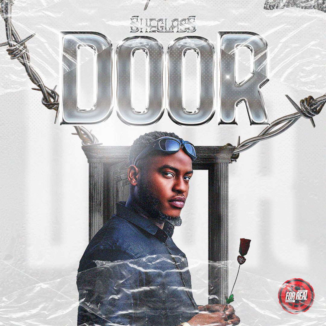 Door Sheglass n 045615