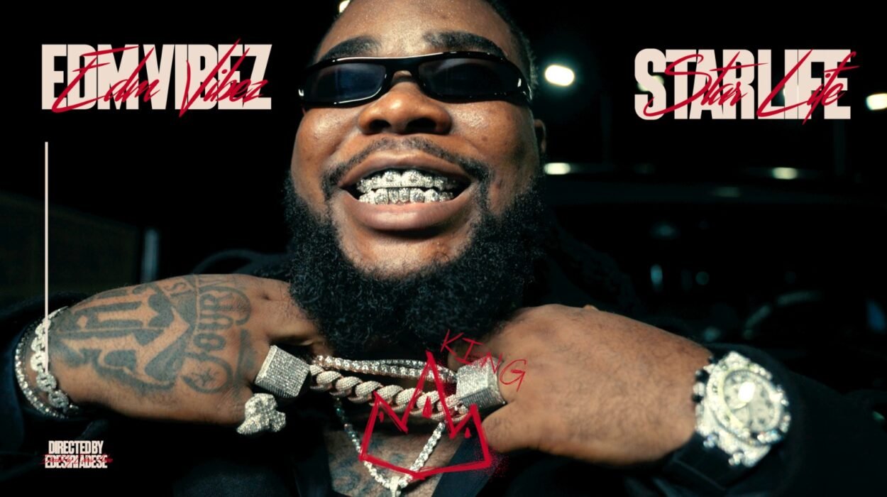 EDM VIBEZ STAR LIFE VIDEO ARTWORK