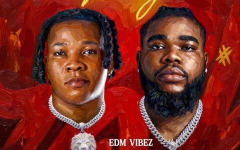 Music: EDM VIBEZ Ft Zineth – Party 11 EDM VIBEZ PARTY ARTWORK